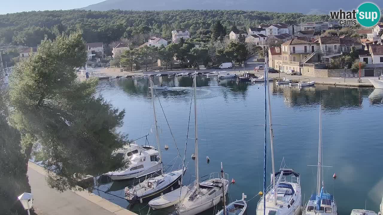 Livecam Vrboska marina | Hvar island | Dalmatia