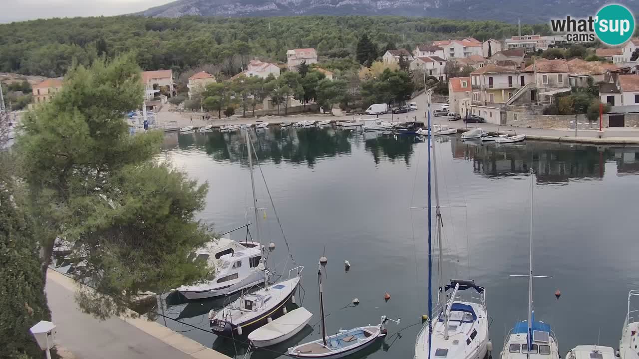 Livecam Vrboska marina | Hvar island | Dalmatia