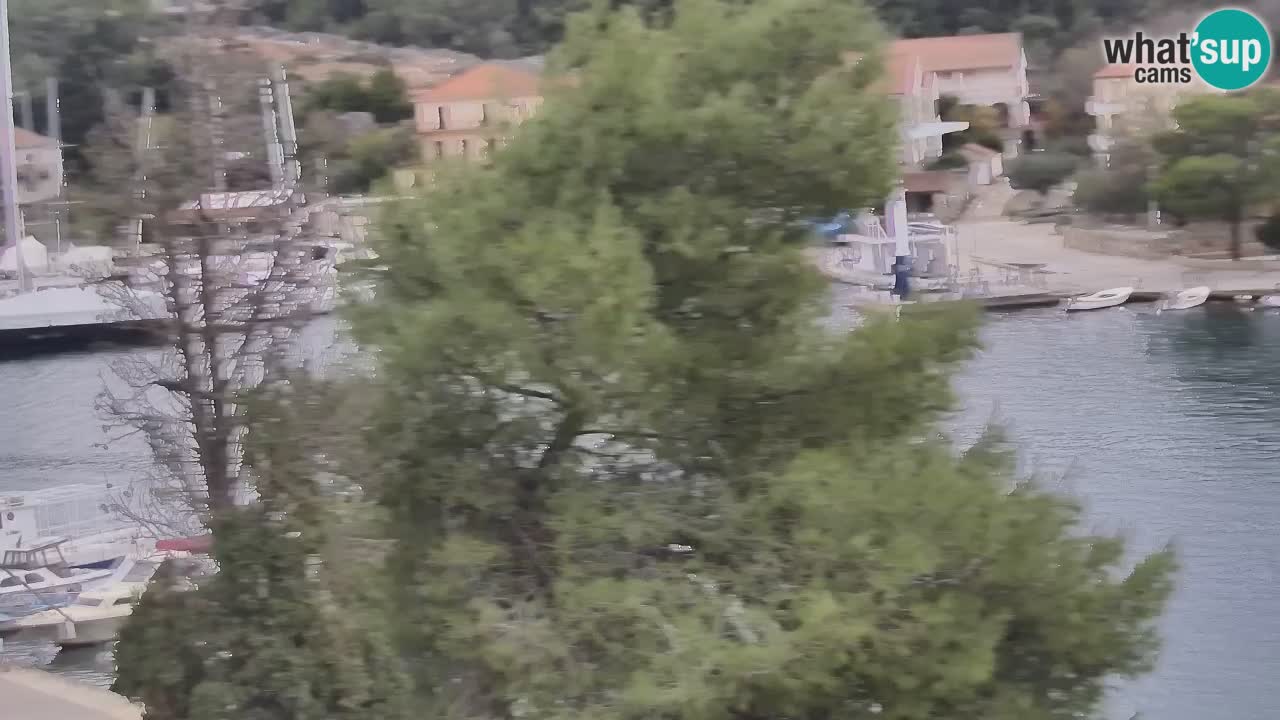 Camera Hvar Vrboska marina | isla de Hvar | Dalmacia
