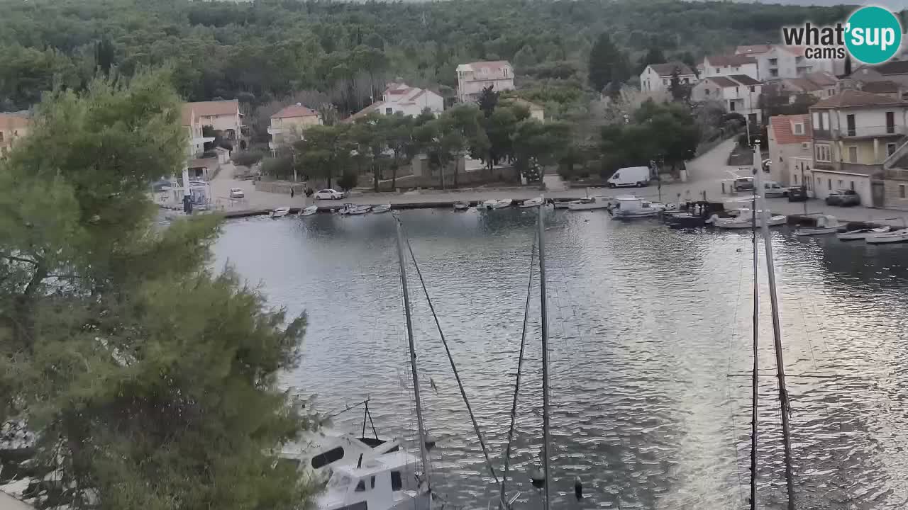 Camera Hvar Vrboska marina | isla de Hvar | Dalmacia