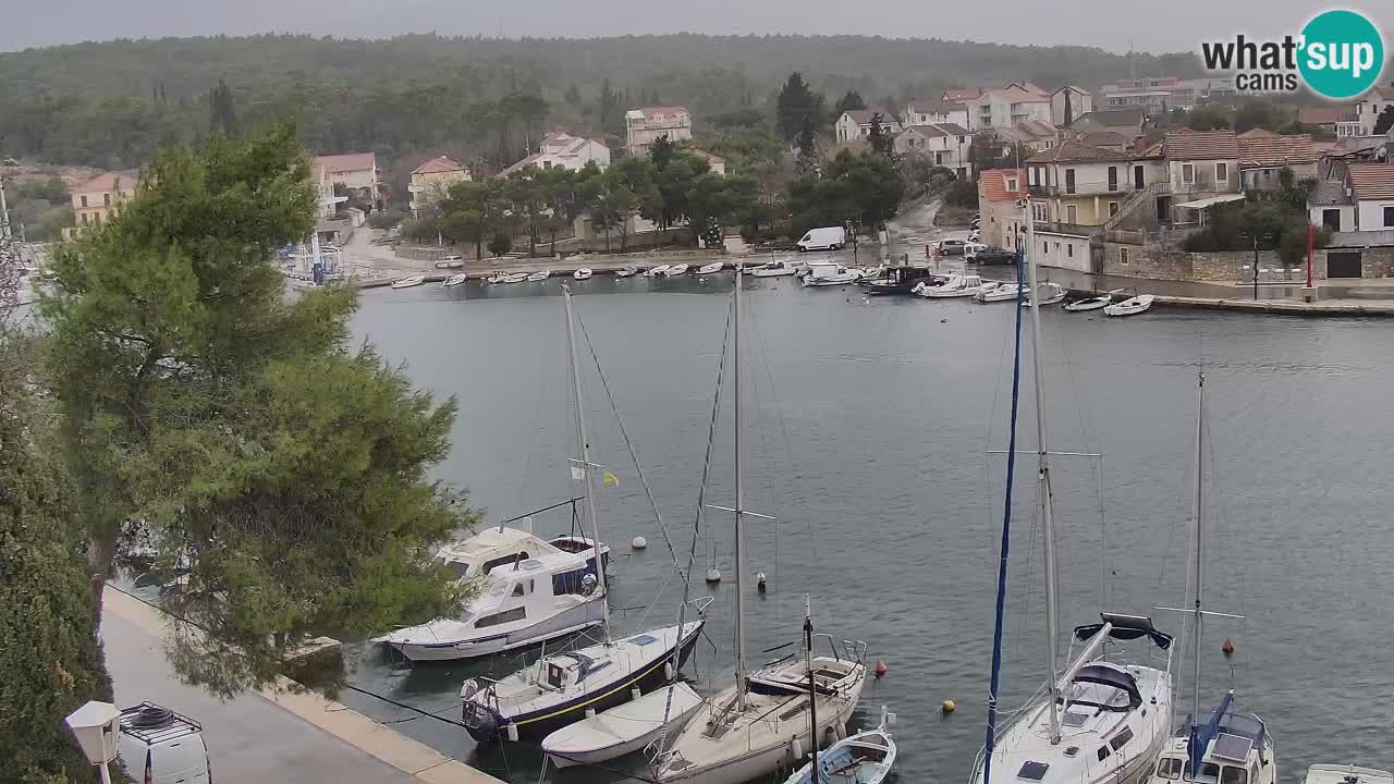 Camera Hvar Vrboska marina | isla de Hvar | Dalmacia