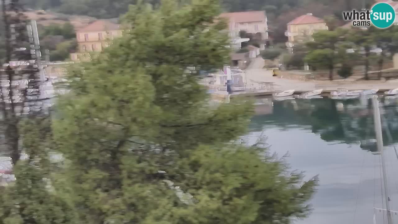Livecam Vrboska marina | Hvar island | Dalmatia