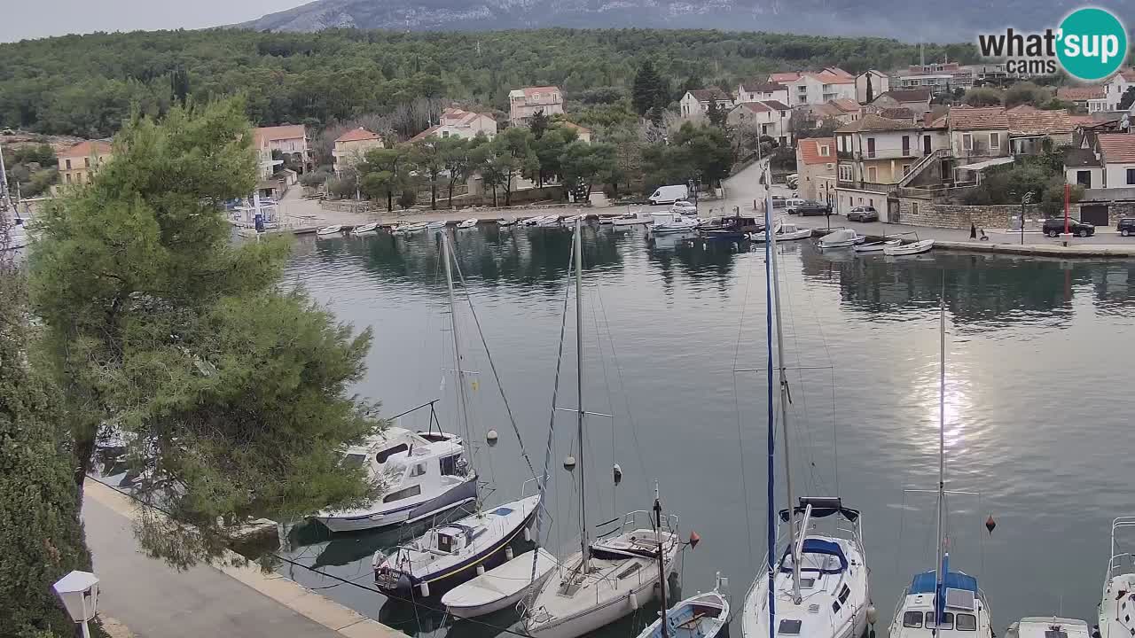 Livecam Vrboska marina | Hvar island | Dalmatia
