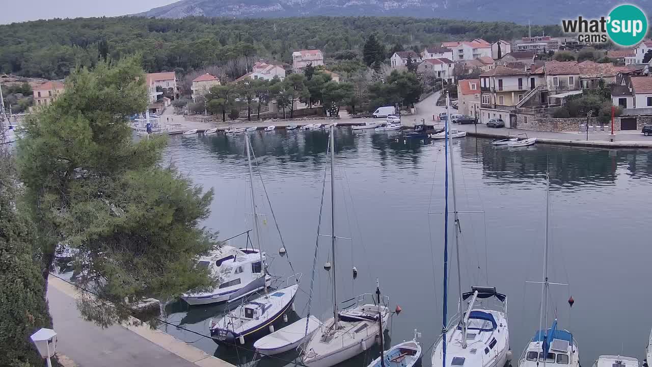 Livecam Hvar Vrboska marina | Île de Hvar | Dalmatia