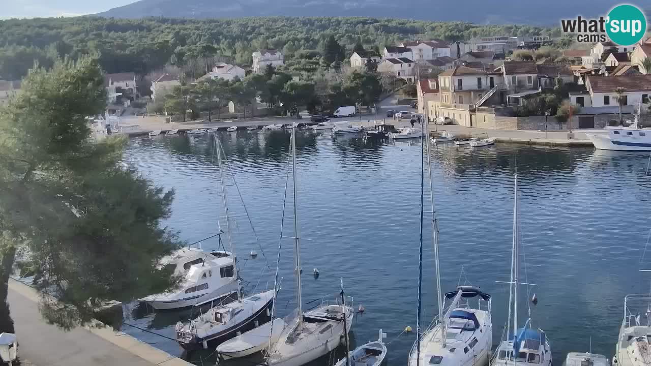 Livecam Vrboska marina | Hvar island | Dalmatia