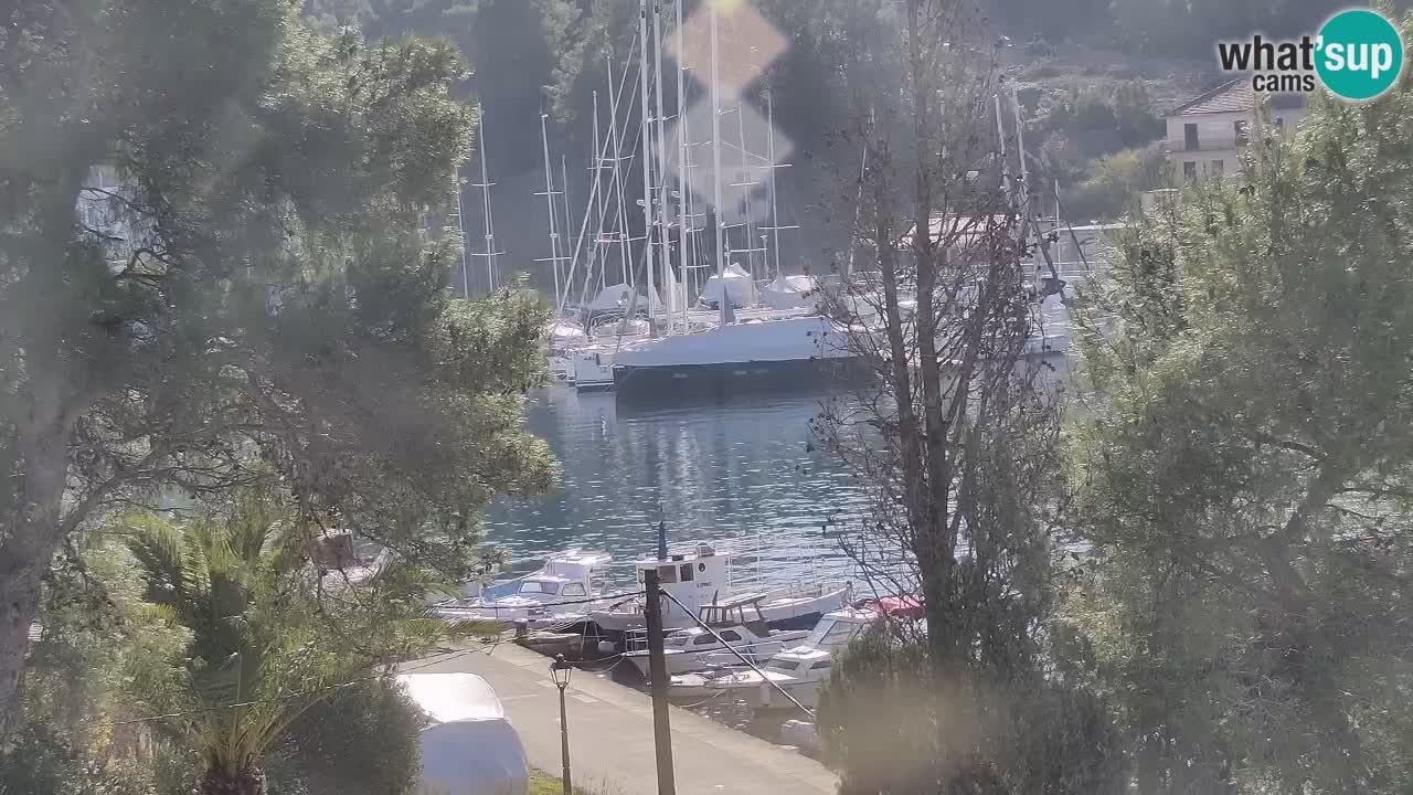Kamera Hvar Vrboska marina | | Dalmacija