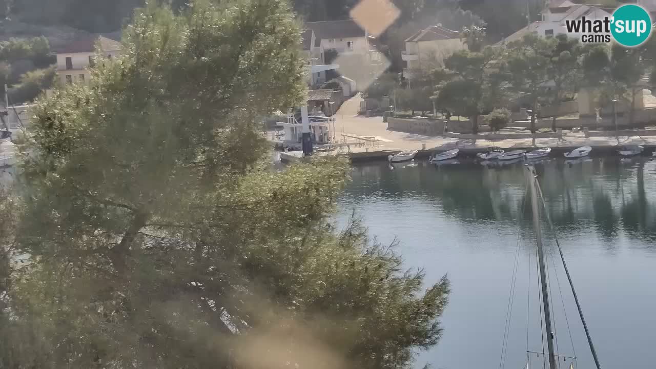 Camera Hvar Vrboska marina | isla de Hvar | Dalmacia