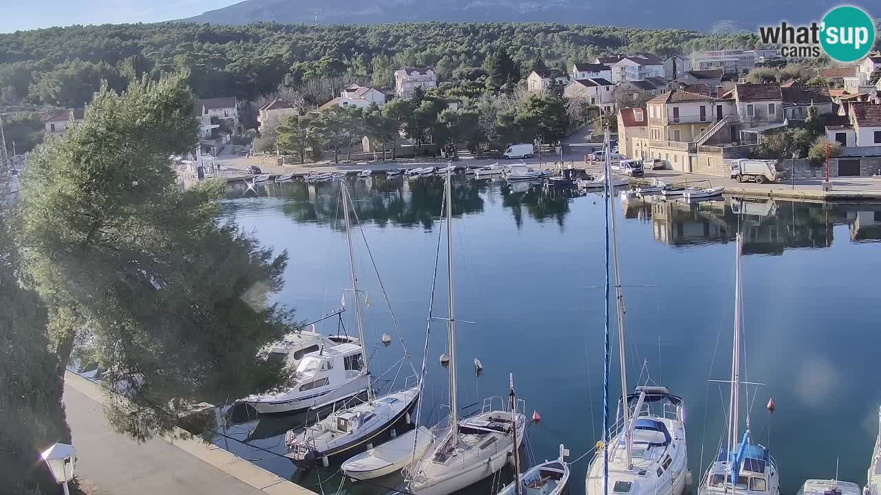 Livecam Hvar Vrboska marina | Île de Hvar | Dalmatia