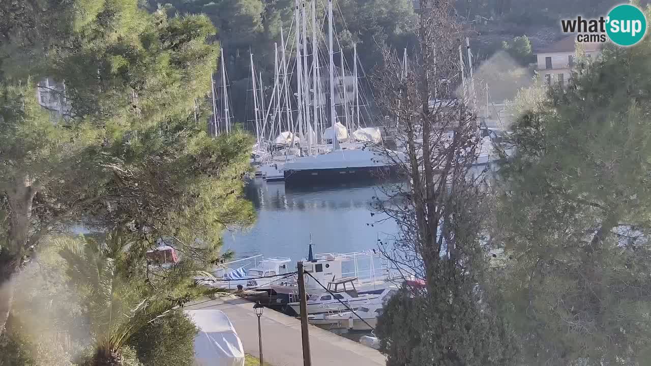 Webcam Hvar Vrboska marina | Dalmazia