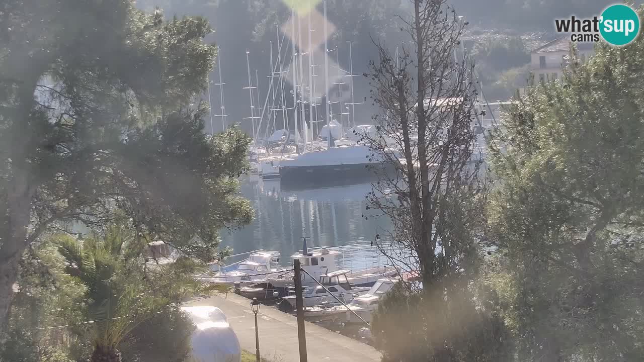 Camera Hvar Vrboska marina | isla de Hvar | Dalmacia