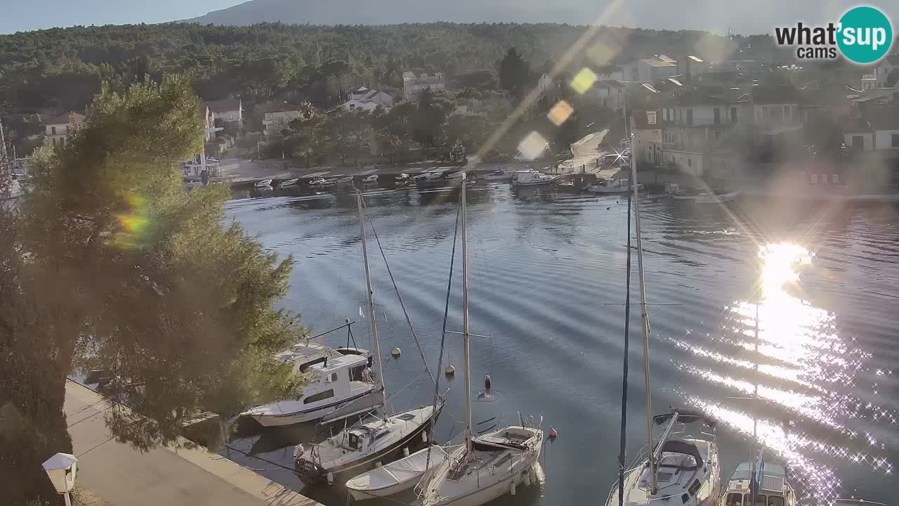 Livecam Vrboska marina | Hvar island | Dalmatia