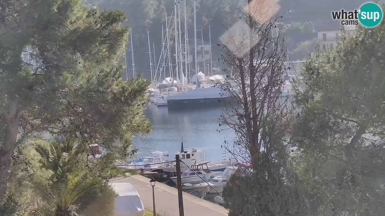 Webcam Hvar Vrboska marina | Dalmazia