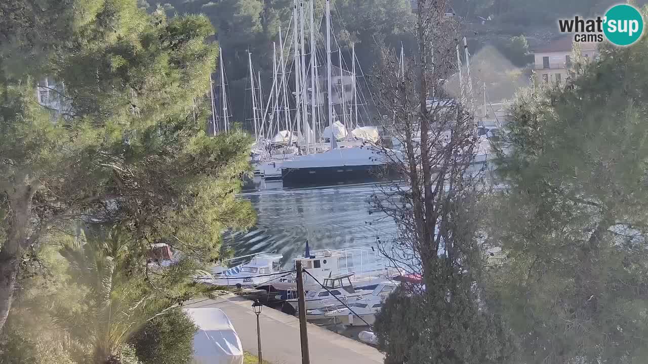 Livecam Hvar Vrboska marina | Île de Hvar | Dalmatia