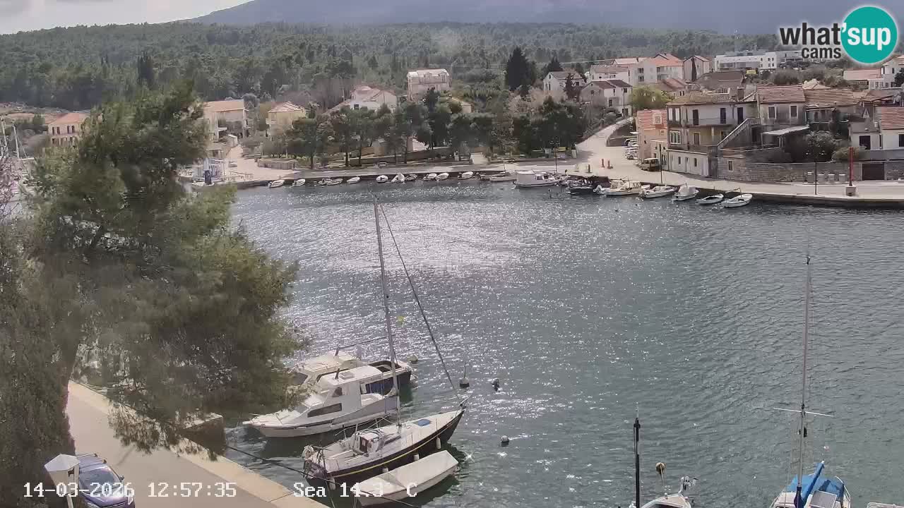 Livecam Hvar Vrboska marina | Île de Hvar | Dalmatia