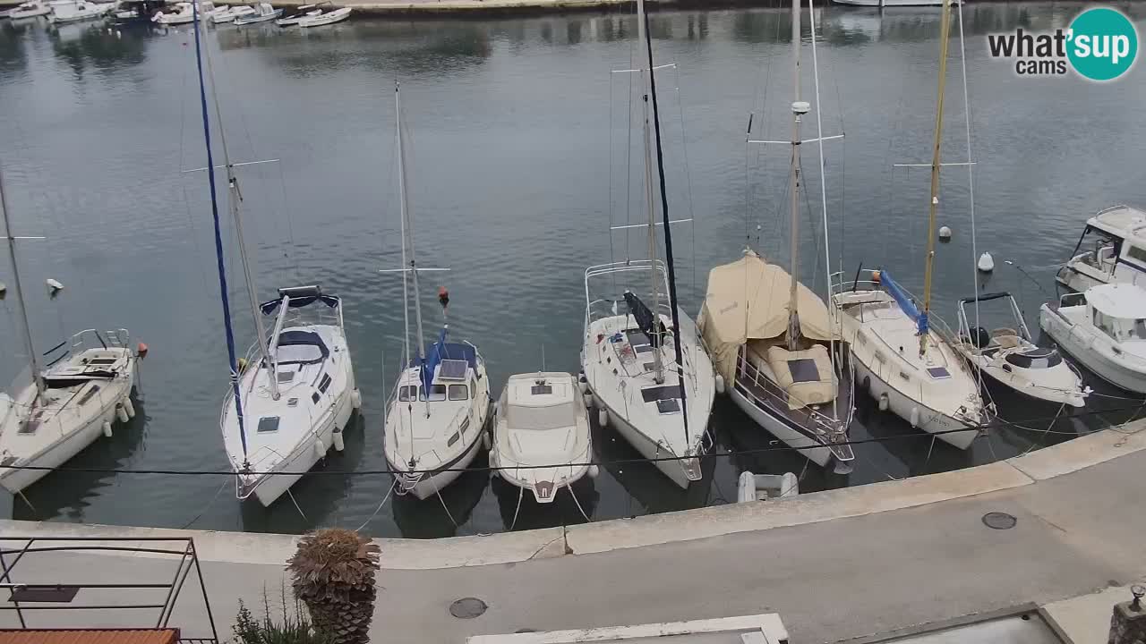 Livecam Hvar Vrboska marina | Île de Hvar | Dalmatia