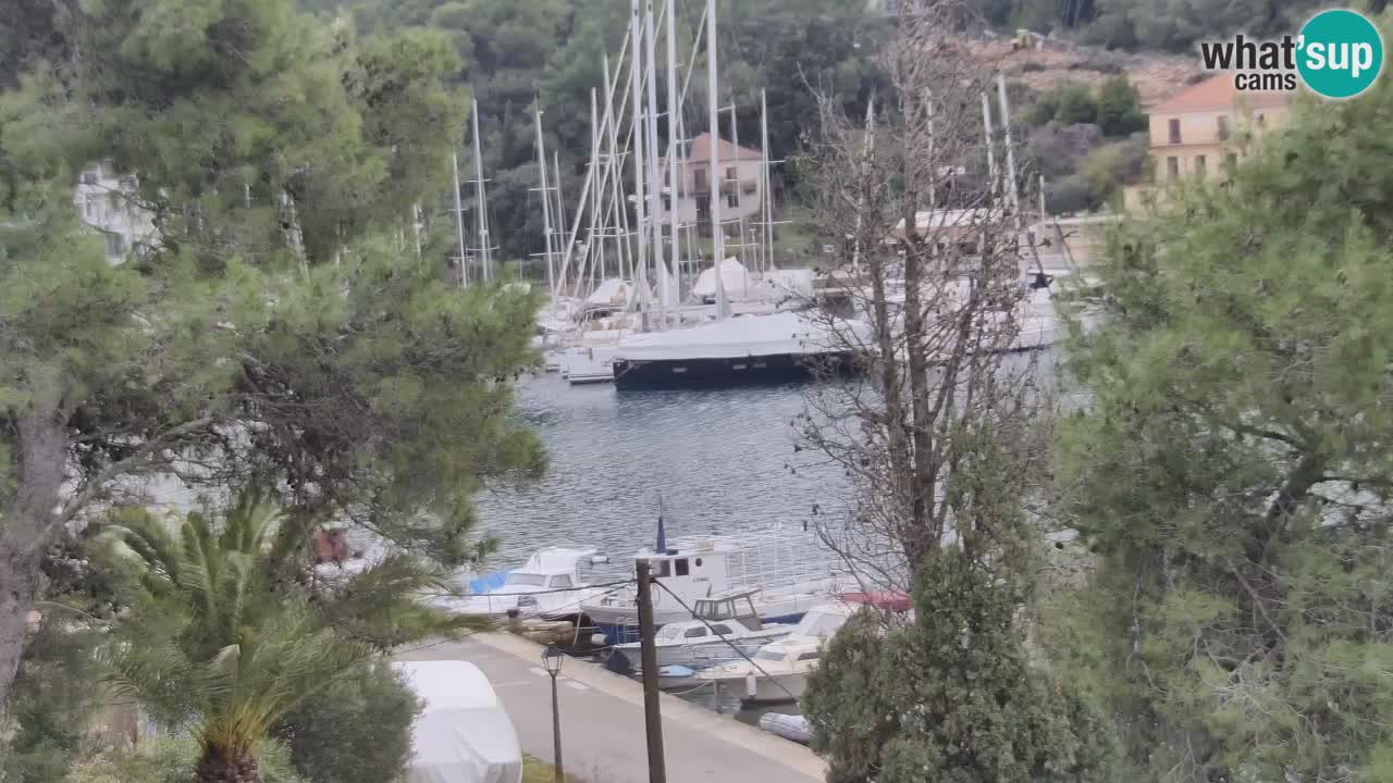 Camera Hvar Vrboska marina | isla de Hvar | Dalmacia