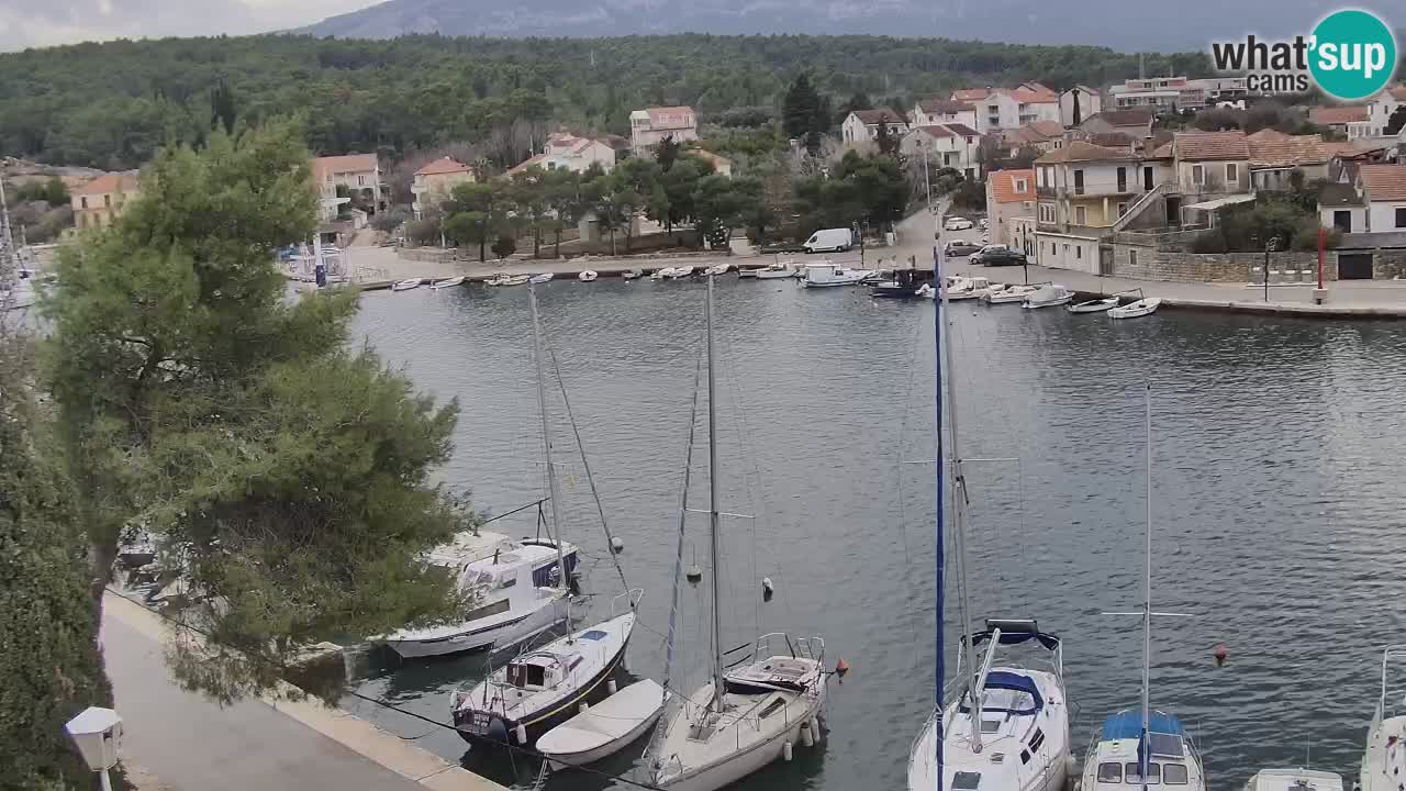 Webcam Hvar Vrboska marina | Dalmazia
