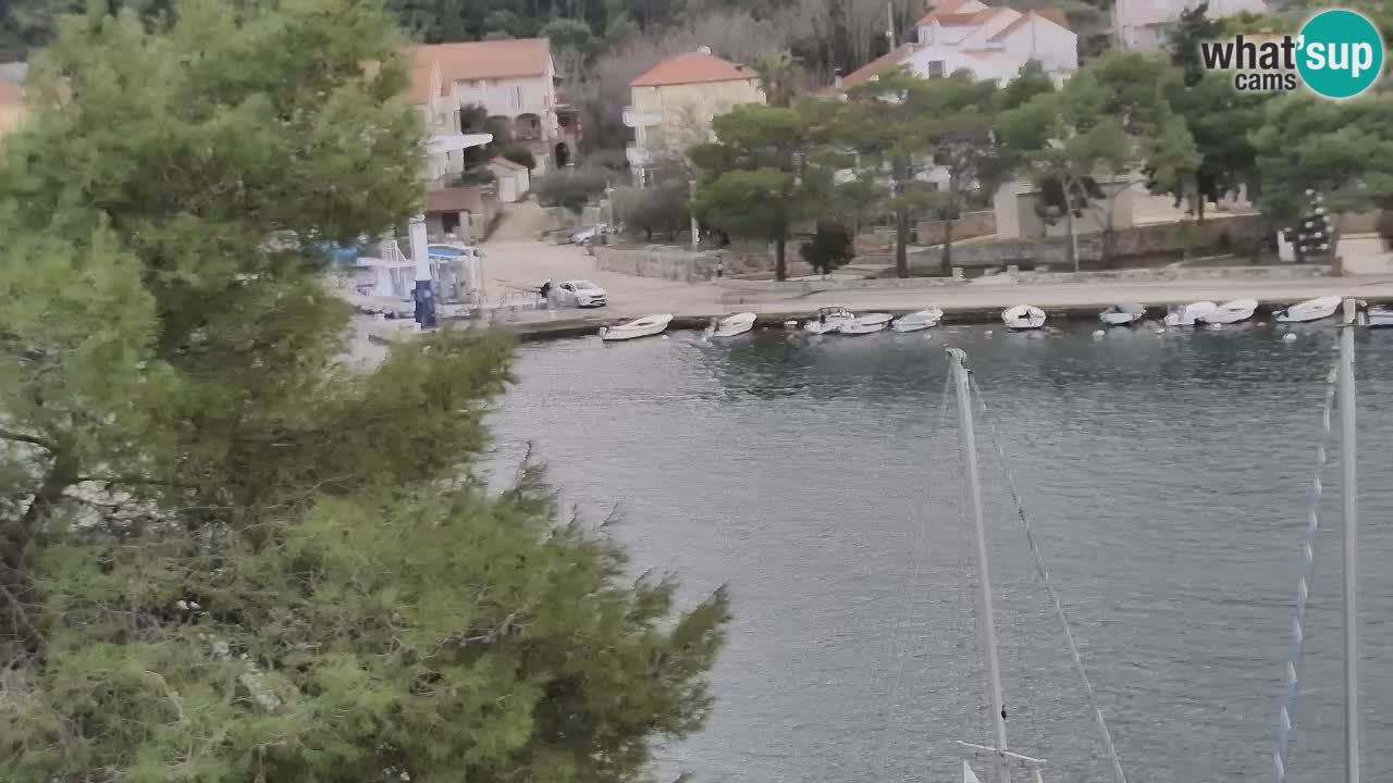 Livecam Vrboska marina | Hvar island | Dalmatia