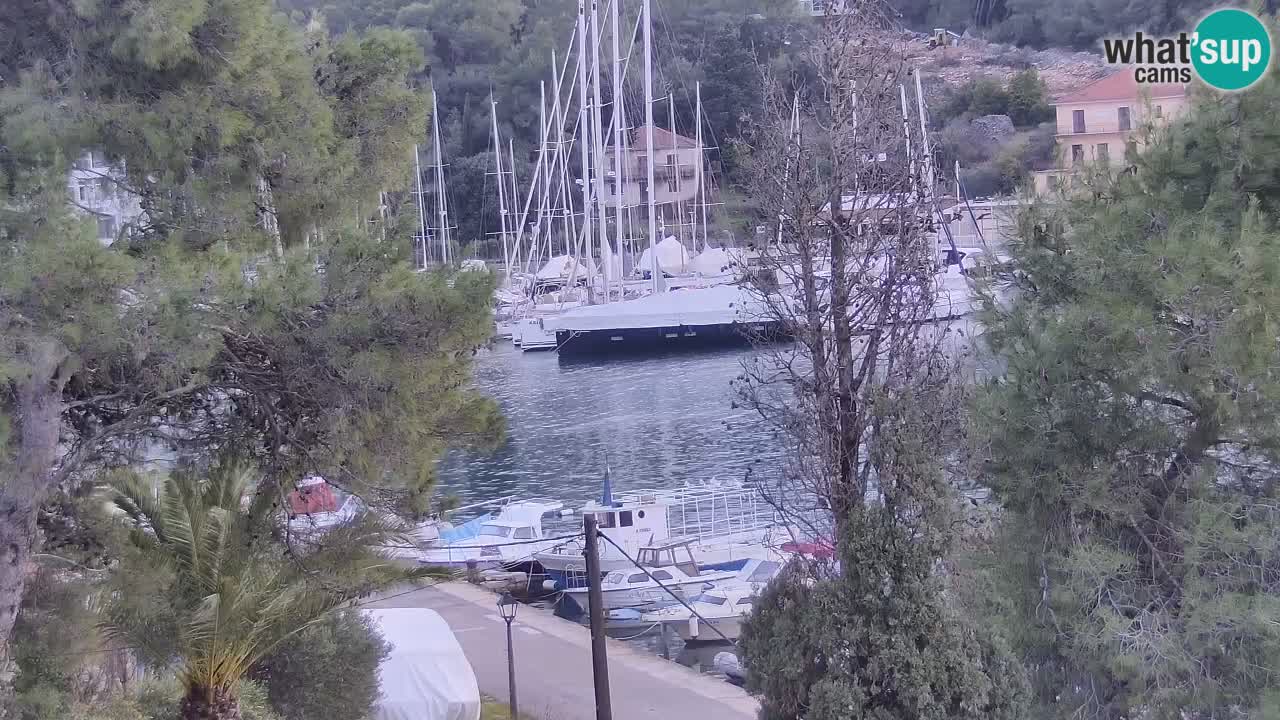 Livecam Hvar Vrboska marina | Île de Hvar | Dalmatia
