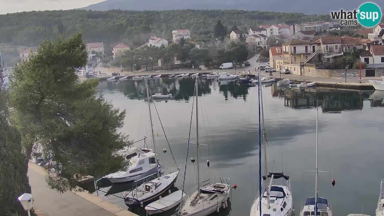 Livecam Hvar Vrboska marina | Île de Hvar | Dalmatia