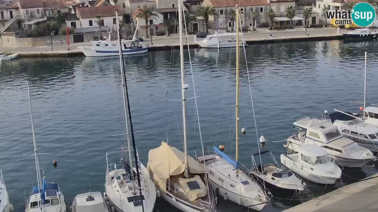 Camera Hvar Vrboska marina | isla de Hvar | Dalmacia