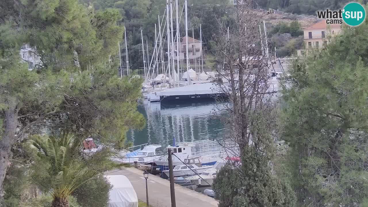 Livecam Vrboska marina | Hvar island | Dalmatia