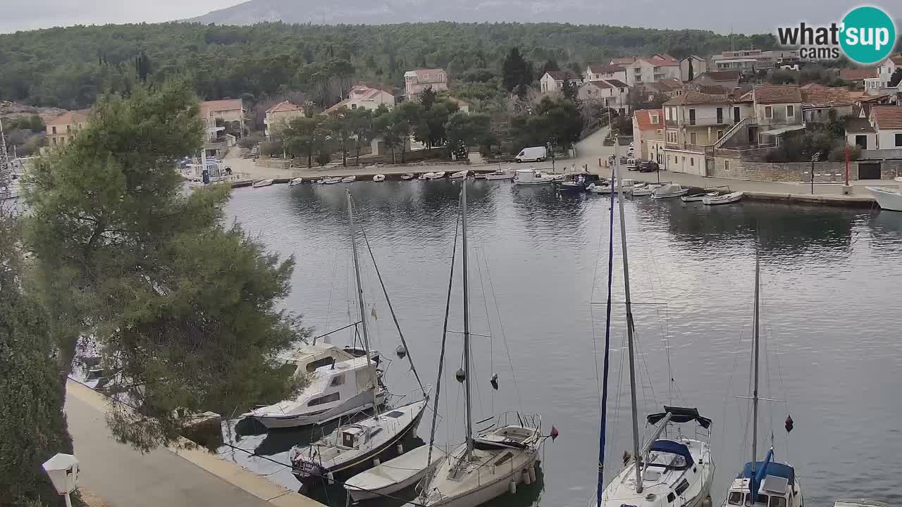 Kamera Hvar Vrboska marina | | Dalmacija
