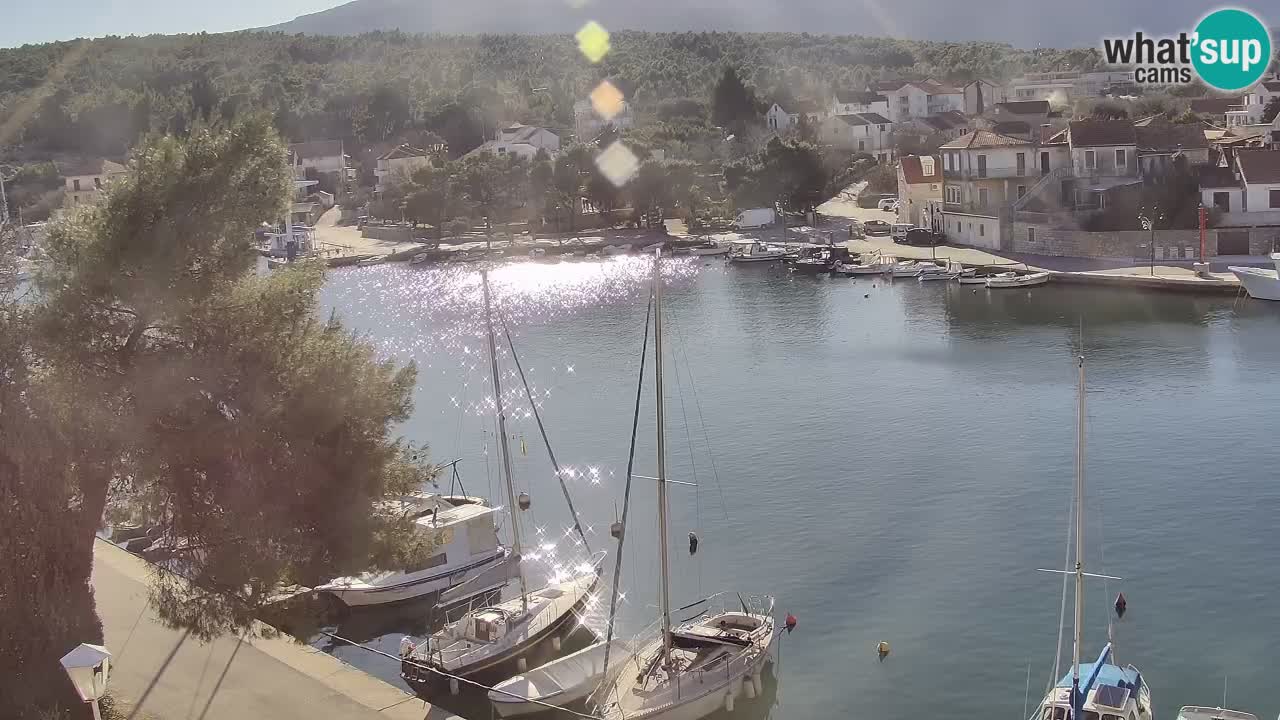 Kamera Hvar Vrboska marina | | Dalmacija