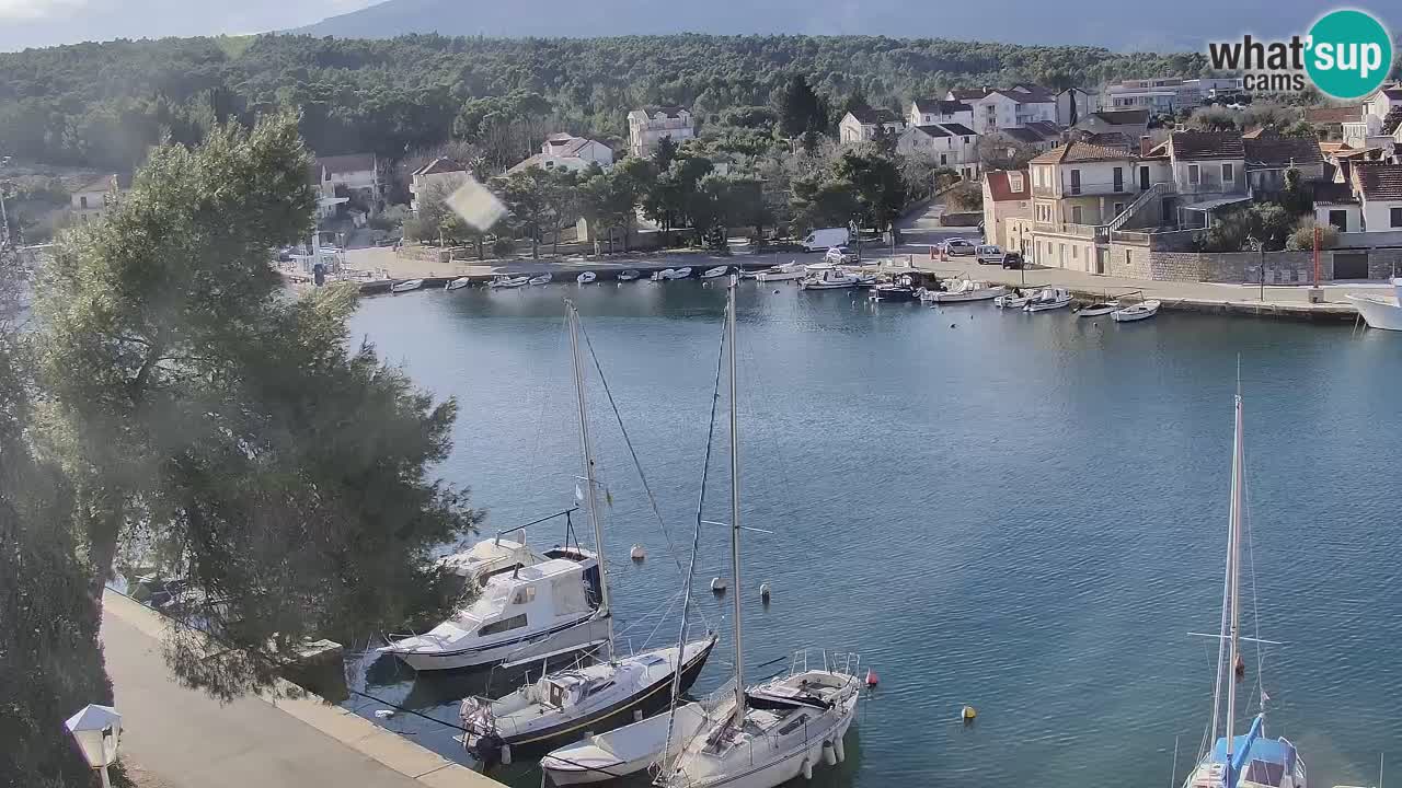 Webcam Hvar Vrboska marina | Dalmazia
