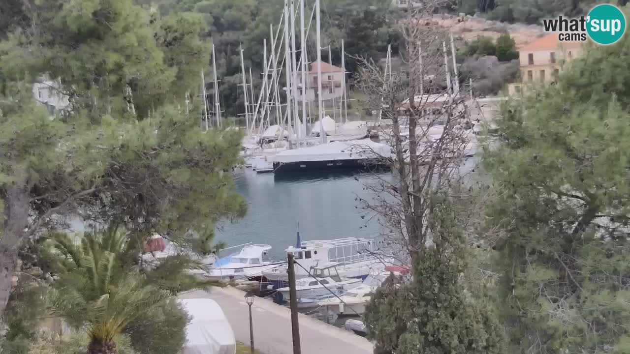 Livecam Hvar Vrboska marina | Île de Hvar | Dalmatia