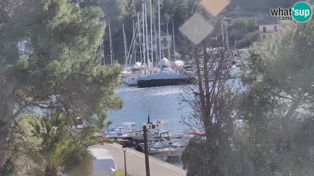 Livecam Hvar Vrboska marina | Île de Hvar | Dalmatia