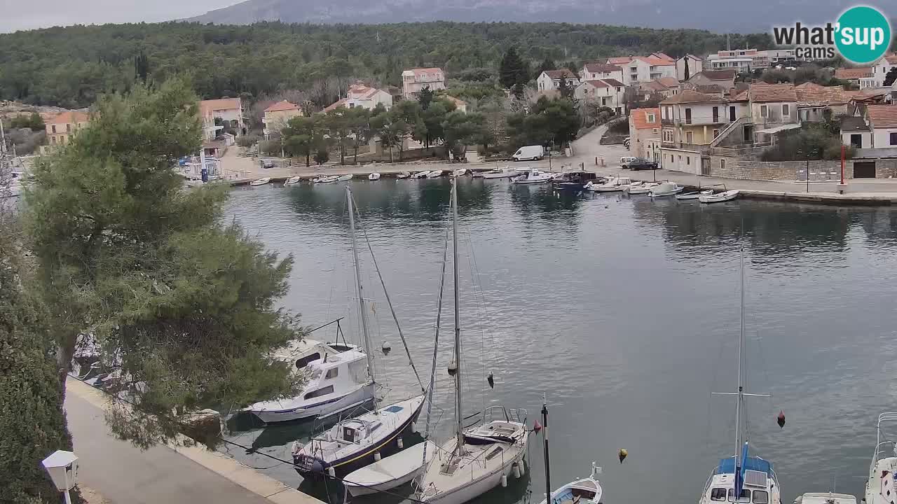 Livecam Hvar Vrboska marina | Île de Hvar | Dalmatia