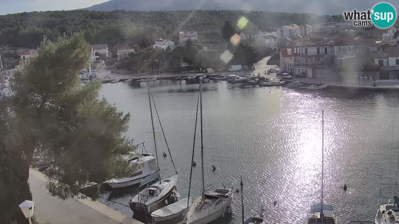 Kamera Hvar Vrboska marina | | Dalmacija