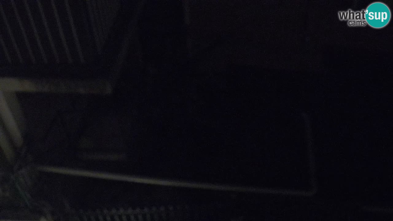 Livecam Vrboska marina | Hvar island | Dalmatia