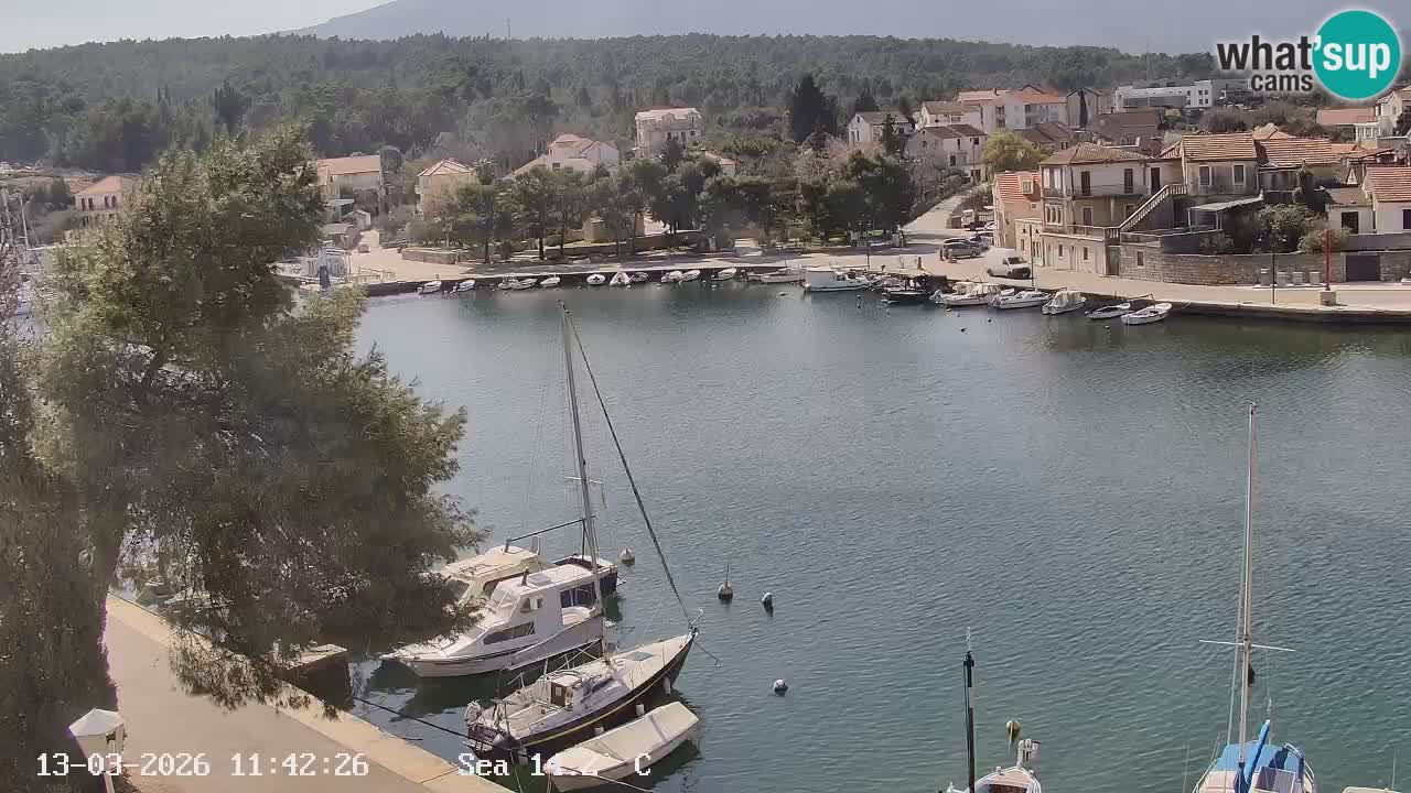 Livecam Hvar Vrboska marina | Île de Hvar | Dalmatia