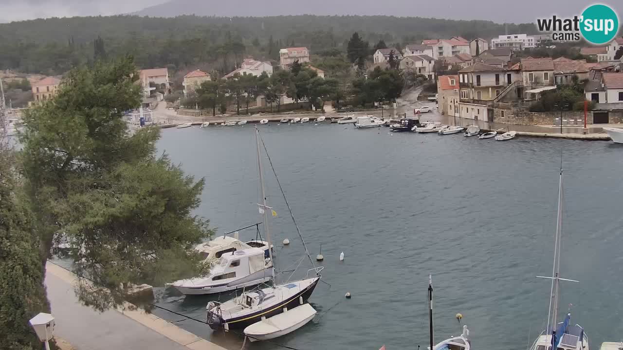 Livecam Hvar Vrboska marina | Île de Hvar | Dalmatia