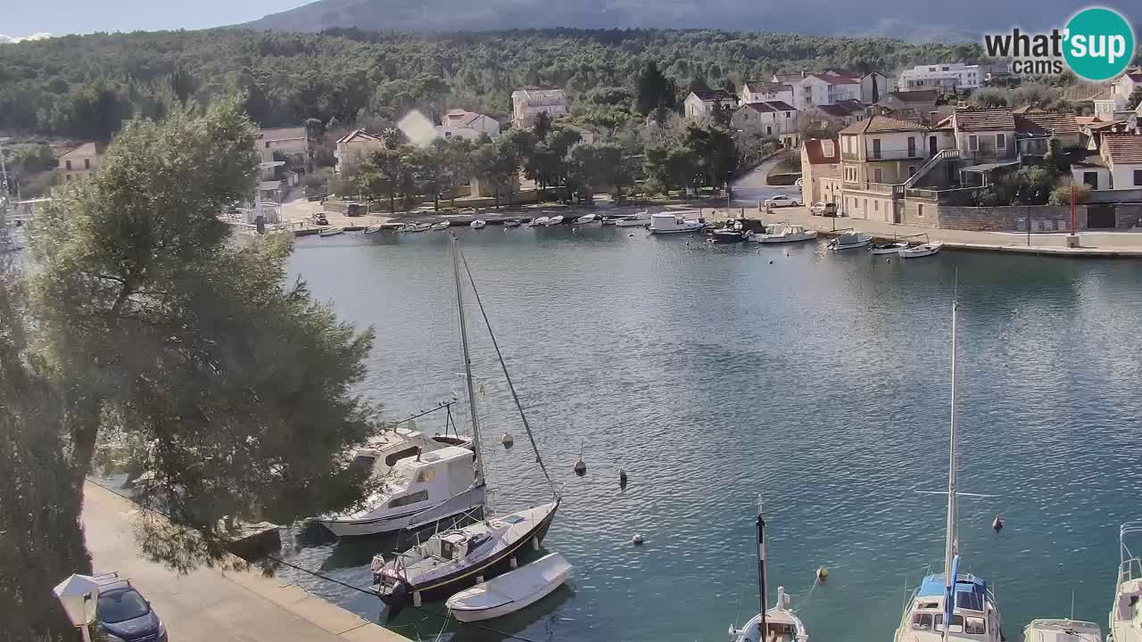 Camera Hvar Vrboska marina | isla de Hvar | Dalmacia