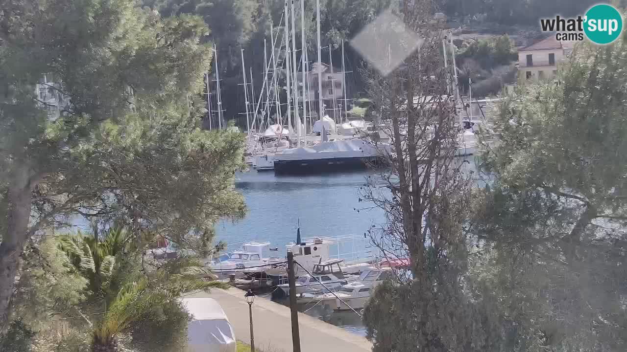 Livecam Vrboska marina | Hvar island | Dalmatia