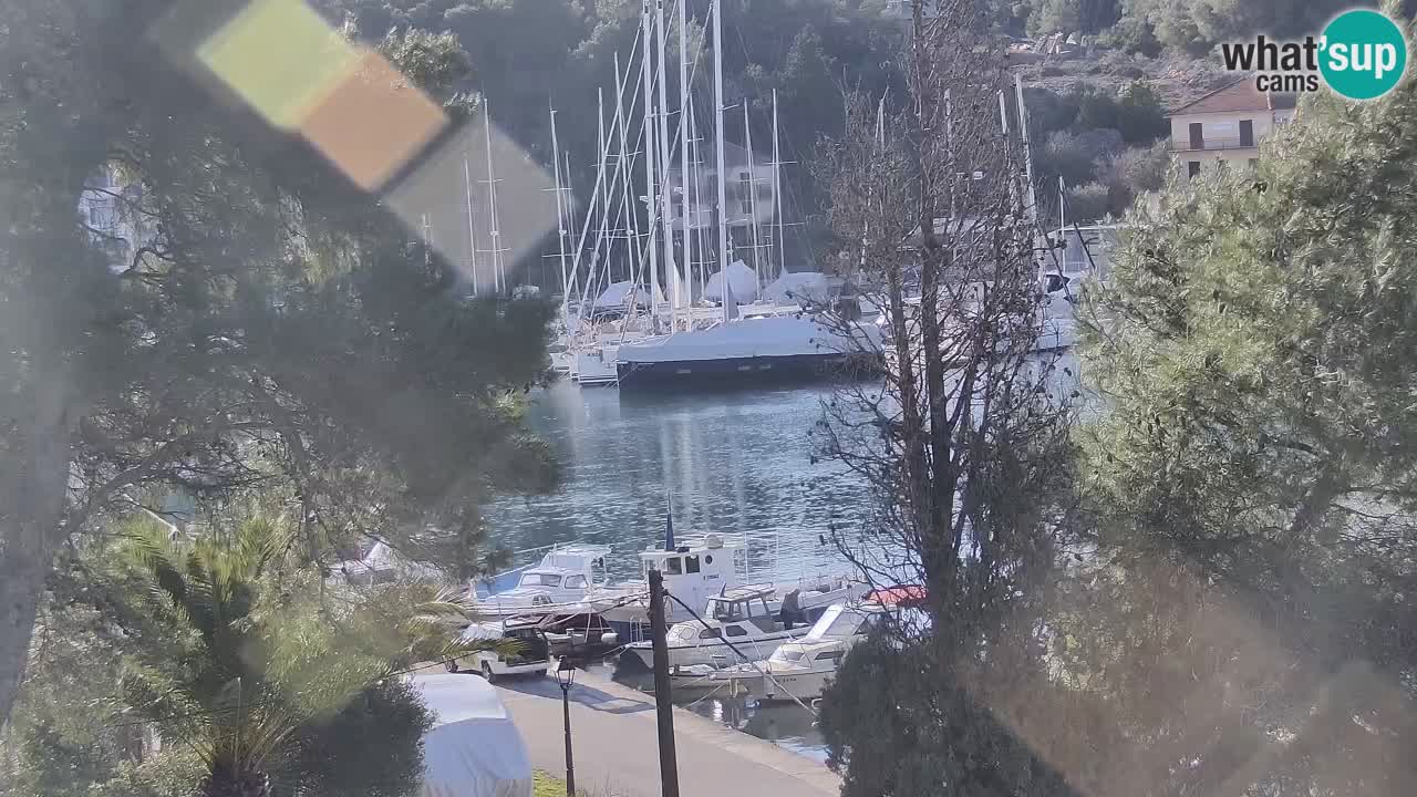 Livecam Hvar Vrboska marina | Île de Hvar | Dalmatia