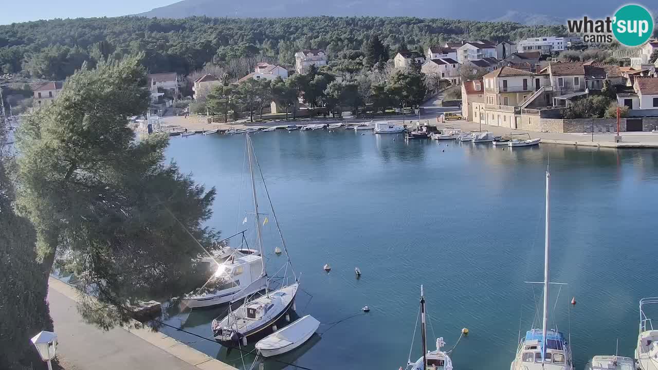 Web kamera Hvar Vrboska marina | otok Hvar | Dalmacija