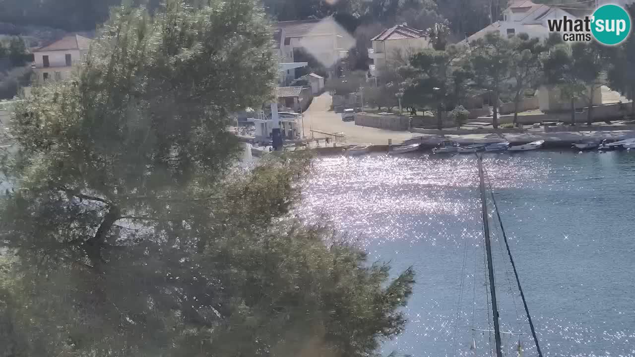 Web kamera Hvar Vrboska marina | otok Hvar | Dalmacija