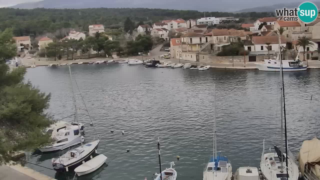 Web kamera Hvar Vrboska marina | otok Hvar | Dalmacija