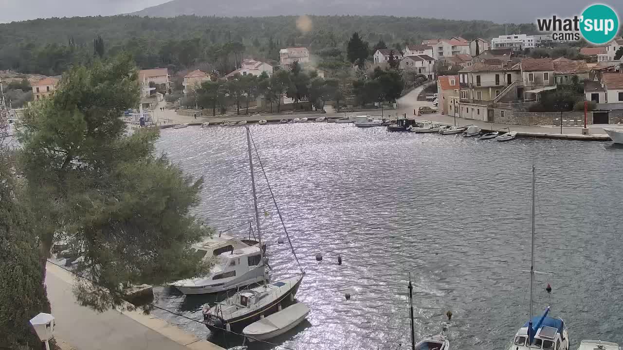 Livecam Hvar Vrboska marina | Île de Hvar | Dalmatia