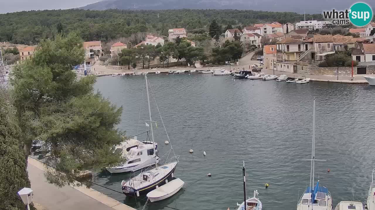Livecam Hvar Vrboska marina | Île de Hvar | Dalmatia