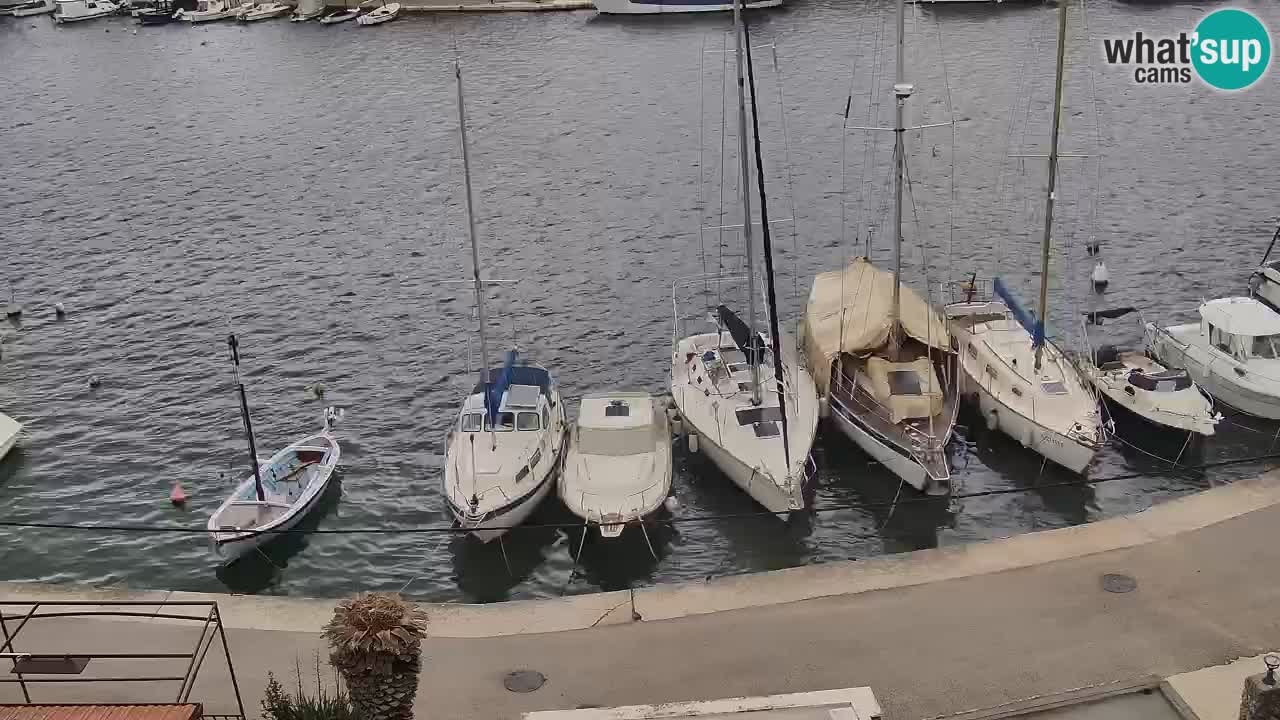 Livecam Hvar Vrboska marina | Île de Hvar | Dalmatia
