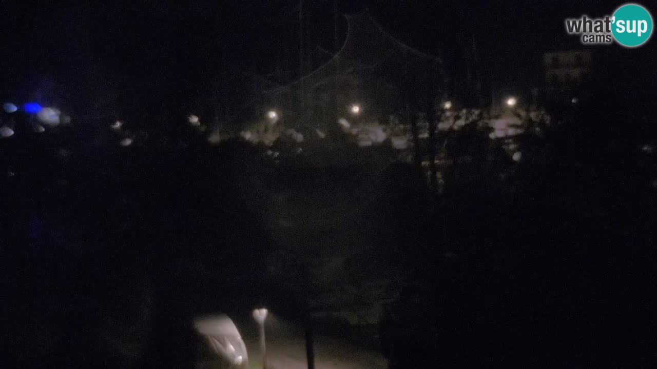 Camera Hvar Vrboska marina | isla de Hvar | Dalmacia