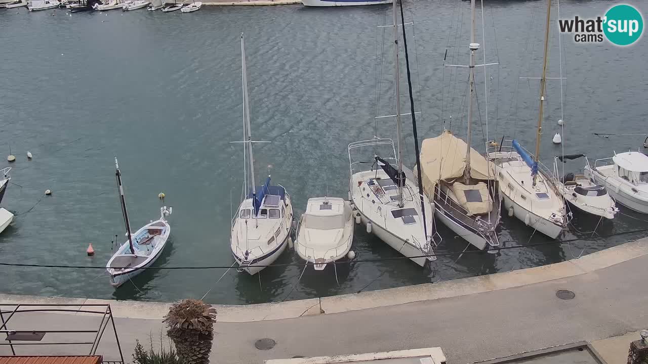 Livecam Hvar Vrboska marina | Île de Hvar | Dalmatia