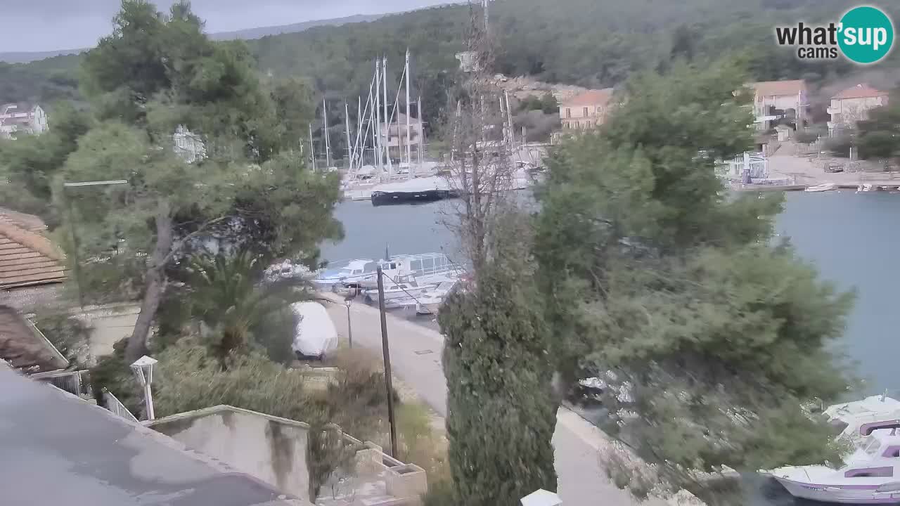 Kamera Hvar Vrboska marina | | Dalmacija