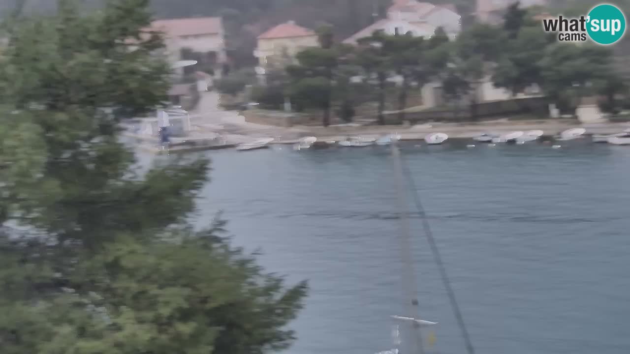 Livecam Hvar Vrboska marina | Île de Hvar | Dalmatia