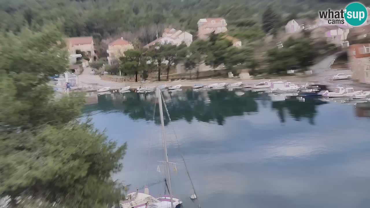 Webcam Hvar Vrboska marina | Dalmazia